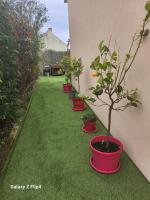 les oliviers - B&B Veigné