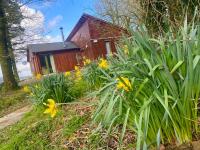 B&B Ballyorgan - Ballyhoura Mountain Lodges - Bed and Breakfast Ballyorgan