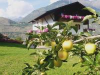 Gletscherblick - Bed and Breakfast Naturns