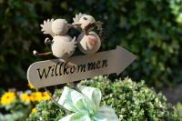 Appartamento con 1 Camera da Letto e Balcone