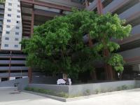 Lovish luxury villa - B&B Colombo