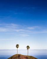 Finca Marañuela - B&B La Perdoma