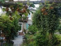 La maison O kiwis - Chambres d'hôtes - B&B