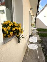 Vierbettzimmer mit Terrasse