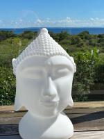 Villa Deluxe l'Hacienda Villa vue mer 180 piscine jacuzzi proche plage marina golf pointe des châteaux et casino jardin clos voyage durable - Chambres d’hôtes Saint-François