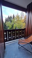 Alpina Lodge - 21 - Appart proche pistes - 4 pers - B&B
