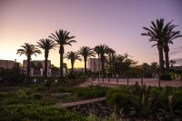 Knightsbridge Luxury Apartments - B&B Ciudad del Cabo