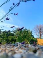 Casa Perla Iridella - B&B Capoliveri