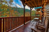 Bearly Splashed - B&B Sevierville