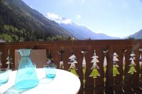Apartment Planards Centre Chamonix foot of the Planards Slopes - B&B Chamonix-Mont-Blanc