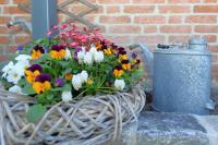 Krauthahn Anbau - B&B Westerland