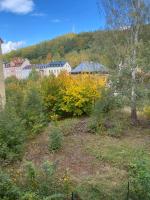 Apartment with Garden View