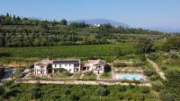 Casa Olivi Apartments - Bed and Breakfast
