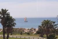 B&B Port Elizabeth - Seagull at sea - Bed and Breakfast Port Elizabeth