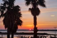 Logis des Palmiers YourHostHelper - Ferienwohnung Gruissan