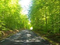 Vånga 77.1 - B&B Vånga