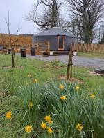 The Snowdrop - B&B