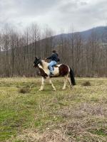 Bungalow Jajce 2 - Ferienwohnung Jezero
