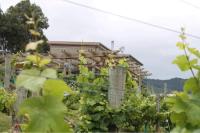 Maymorn Orchard Suites - B&B