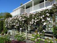 Ligita's Homestay - Bed and Breakfast