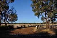 DONN4254S2 - Wilga Farm Stay - Shearer's Shack Camping - double - B&B