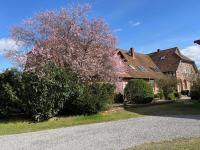 Ferienwohnung AllerStall - Bed and Breakfast Marklendorf