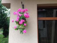 The Lake Villa - B&B Smolyan