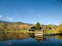 Sanctuary Park Cottages - B&B Healesville