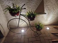 Huerto Don Antonio - Bed and Breakfast Parras de la Fuente