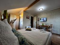 King Room with Garden View