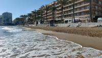 Alba Apartman Torrevieja - B&B Torrevieja