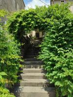 Guesthouse Žmukić - Ferienwohnung Perast