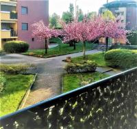 Curiel - B&B Rozzano