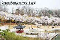 Stay in North Seoul - B&B Seul