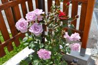 Chambre Double avec Balcon