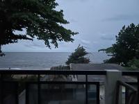 Immersion Nature - B&B Kribi