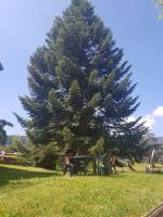 Appartement chaleureux 80m2 - B&B Orbey