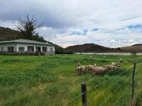 Elberfeld Karoo Lekkerte - B&B