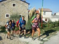 al Merlo Olivo, rural istrian house - Ferienwohnung Buje