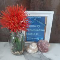 B&B Papamoa - Papamoa Beach Hugoway, Pohutukawa Studio Deluxe, Close beach, free parking - Bed and Breakfast Papamoa