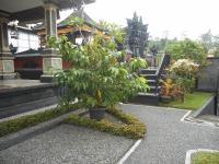 Kadek Homestay - B&B Pasek
