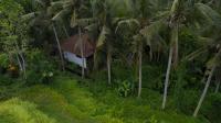 Jungle Paradise Suite - Bed and Breakfast Ubud