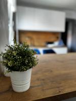 Deep Blue - Apartament Hel - B&B Hel