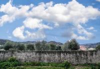 Riobasco - Bed and Breakfast Albisola Superiore