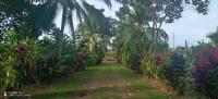 FINCA La PAZ - Jungle Retreat - Best Wildlife Spot in Sarapiqui - B&B Puerto Viejo de Sarapiqui