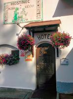 Hostinec U Pejska a Kocicky - Ferienwohnung Marienbad