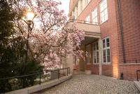 Rooms in Historic Heart of Wroclaw - B&B