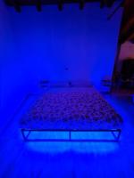 The view Lake ,Appartamento Blevio Fronte lago Como - B&B Blevio