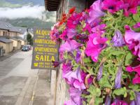 B&B Castejón de Sos - Apartamentos Saila - Bed and Breakfast Castejón de Sos