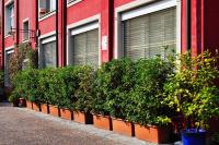 Luxury Loft Navigli - B&B Milano